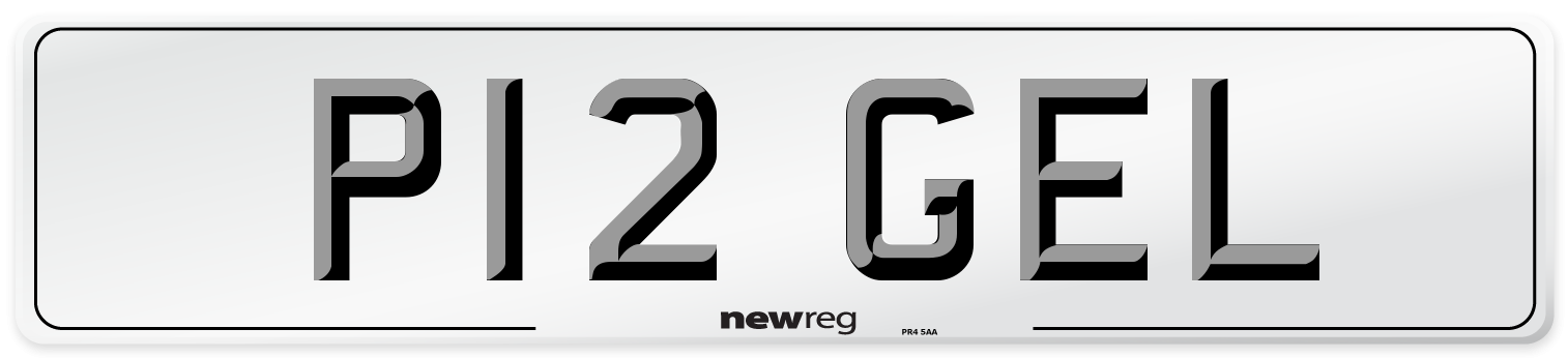 P12 GEL Number Plate from New Reg